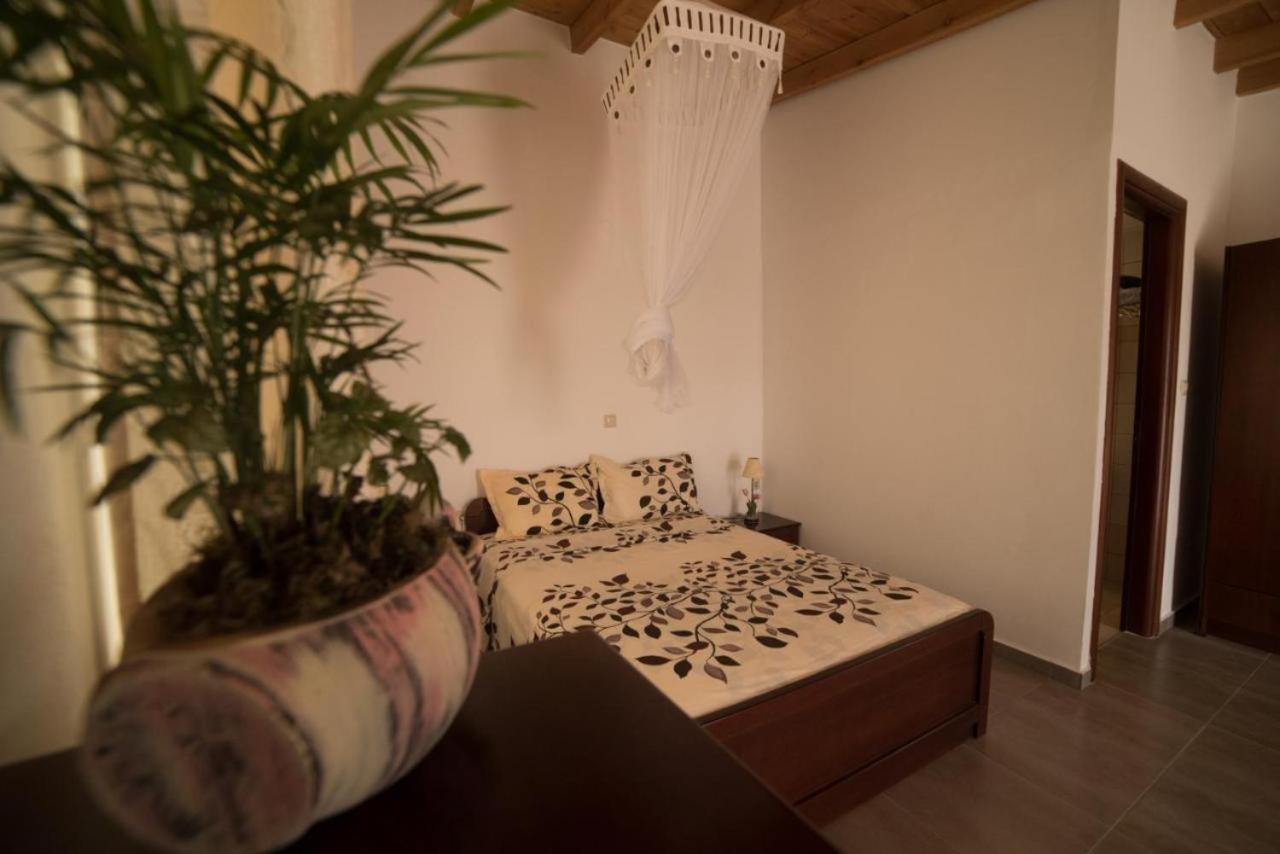 Bodikos Apartments ピツイディア エクステリア 写真